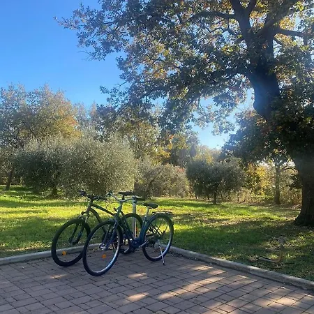 Casa Di Chiara Дом отдыха *